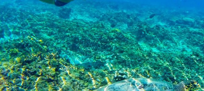 6 Reasons to Plan a Romantic Getaway to the Gili Islands